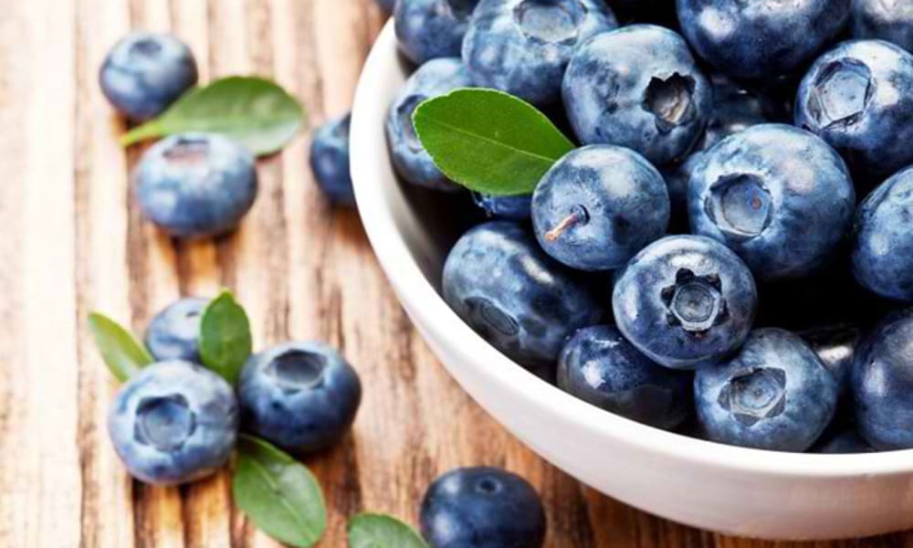 Blueberry Manfaatnya Dalam Mencerahkan Kulit Anda