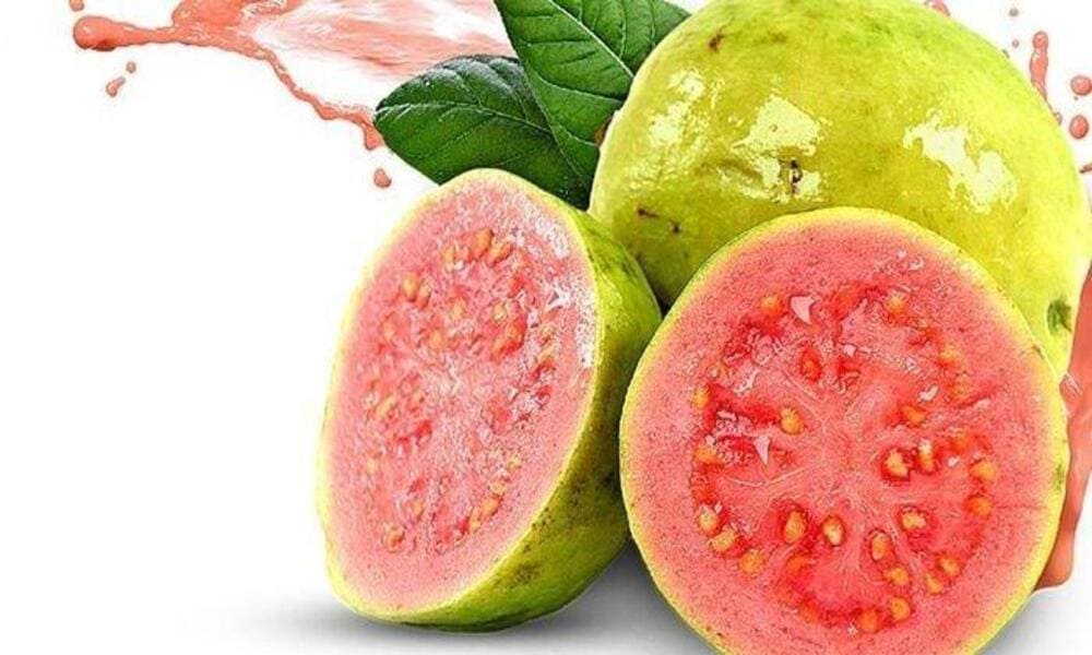 Jambu Biji Menjadi Buah Penambah Darah Yang Dianjurkan Medis