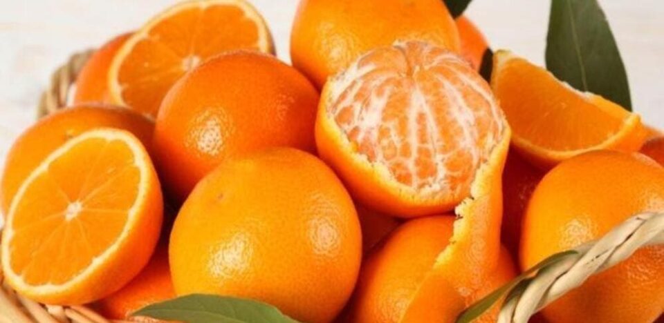 Vitamin C pada Jeruk Sangat Membantu Menjaga Kesehatan Tubuh Anda