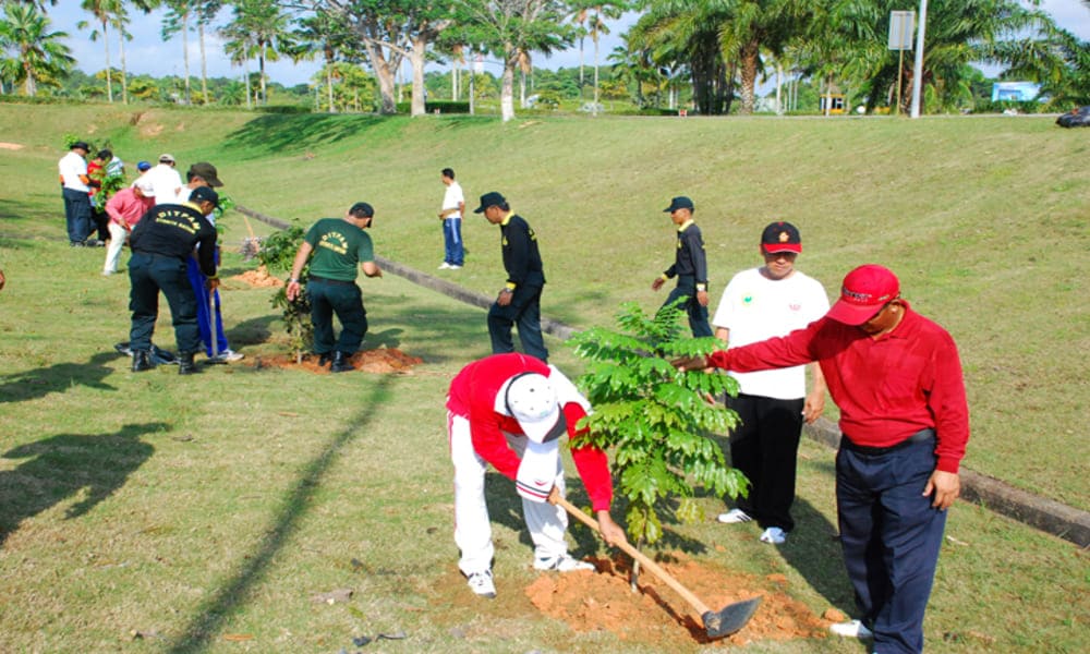 Pengaruh Lingkungan Terhadap Kesehatan Dan Cara Menanganinya